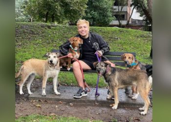 Chandosa, Pulgosa, Morboso y Pocillo, los perros consentidos de JuanDa